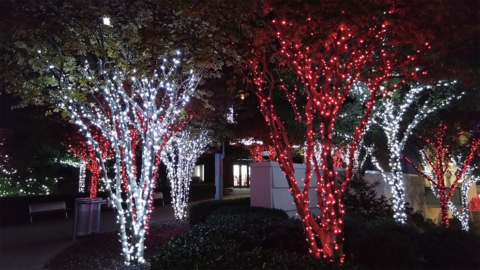 Wintery vibes at "World of Coca-Cola."