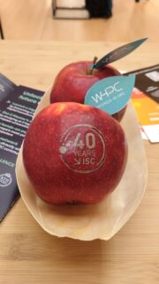 ISC celebrated its 40th anniversary with, among other things, healthy vitamins. (Image: G. Hager, NHR@FAU)