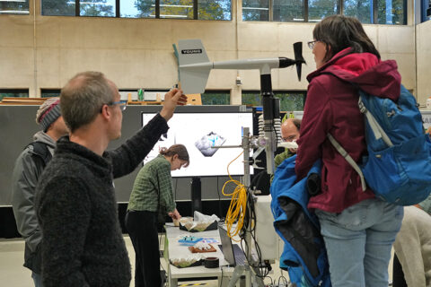 Image: Judith Carl/NHR@FAU